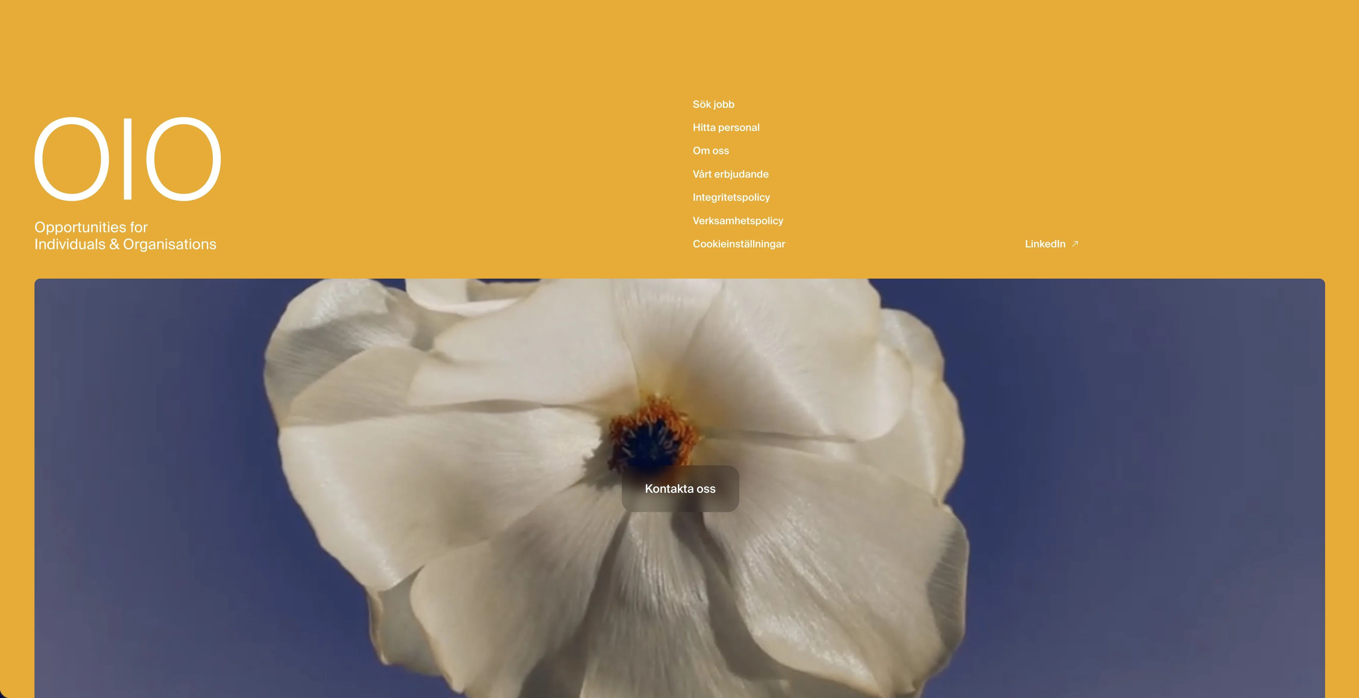 OIO brand section — “Opportunities for Individuals & Organisations”