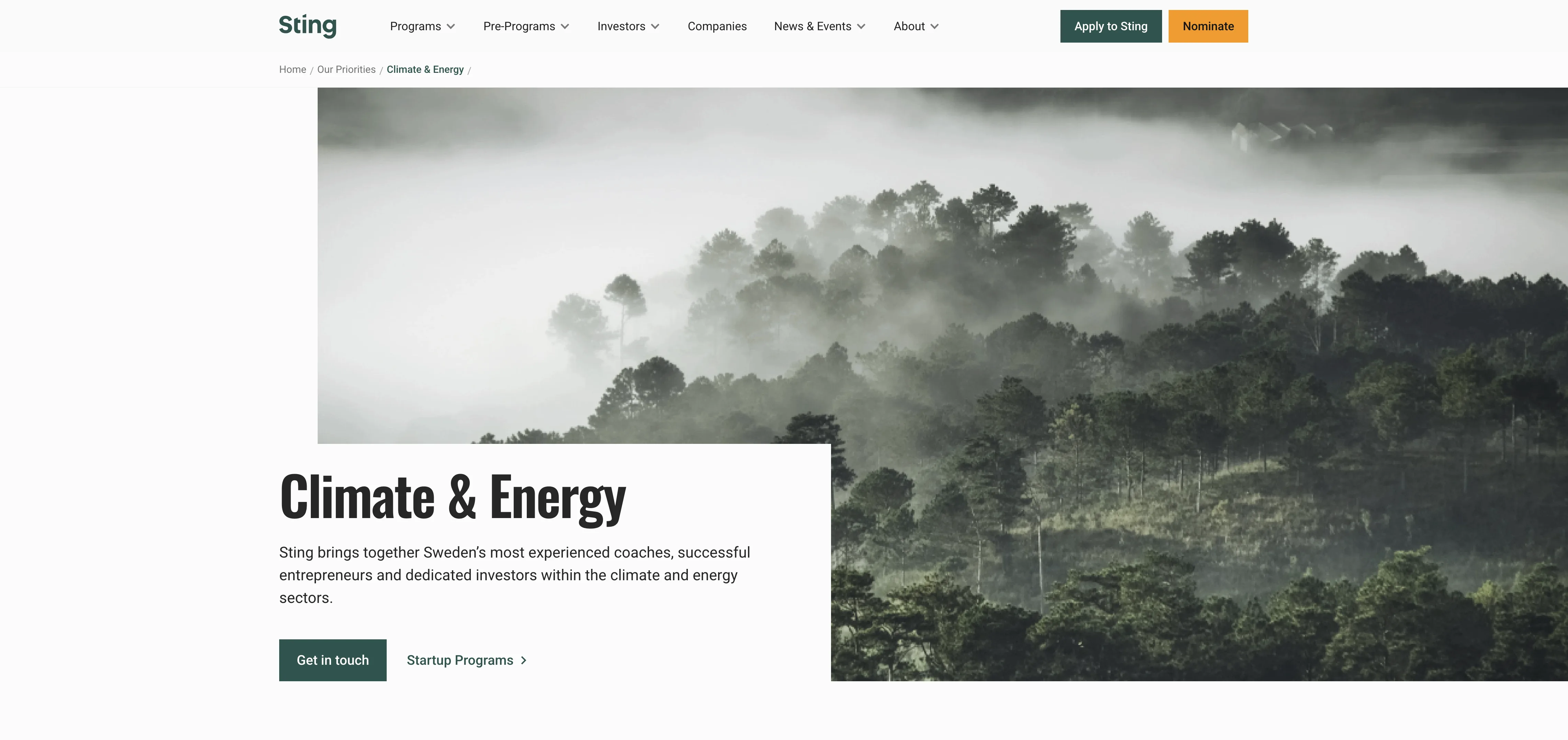 Sting Climate & Energy page — misty forest hero